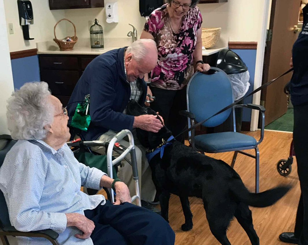 animal-therapy