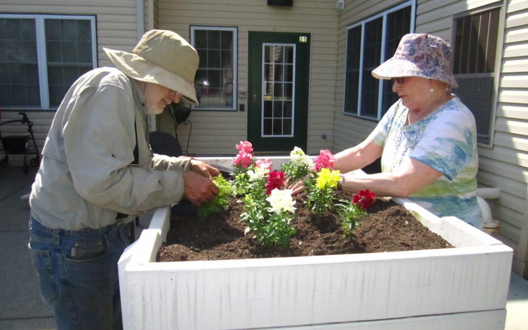 3 Tips To Enjoy a Healthy Lifestyle As You Get Older